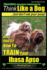 Lhasa Apso, Lhasa Apso Training Aaa Akc: Think Like a Dog ~ But Don't Eat Your Poop! | Lhasa Apso Breed Expert Training: Here's Exactly How to Train Your Lhasa Apso