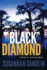 Black Diamond (Wilds of the Bayou, 2)