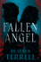 Fallen Angel: A Novel Volume 1