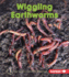 Wiggling Earthworms Format: Library