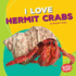 I Love Hermit Crabs (Bumba Books -Pets Are the Best)