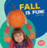 Fall is Fun! Format: Paperback