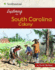 Exploring the South Carolina Colony