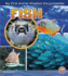 Fish (My First Animal Kingdom Encyclopedias)