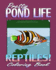 Pretty Pond Life & Reptiles! (Coloring Book)
