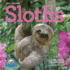 Original Sloths Mini Wall Calendar 2025 Format: Calendar-Mini Calendar