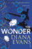 The Wonder