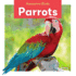 Parrots (Awesome Birds)
