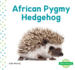 African Pygmy Hedgehog (Mini Animals)
