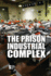 The Prison Industrial Complex (Opposing Viewpoints)