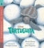 Una Tortuguita: Read and Wonder (Spanish Edition)