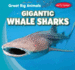 Gigantic Whale Sharks (Great Big Animals)