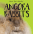 Angora Rabbits (Wow, That's Woolly! )