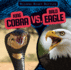 King Cobra Vs. Bald Eagle (Bizarre Beast Battles)