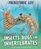 Insects, Bugs, and Invertebrates (Prehistoric Life)