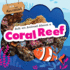 Ask an Animal About a Coral Reef