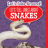 Let's Tell Jokes About Snakes (Let's Joke Around! )