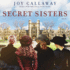 Secret Sisters: a Novel