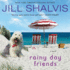 Rainy Day Friends: a Novel (Wildstone) (Audio Cd)