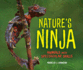Nature's Ninja Animals With Spectacular Skills