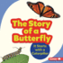 The Story of a Butterfly: It Starts With a Caterpillar