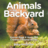 Animals in My Backyard-Animal Book 4 Years Old | Children's Animal Books