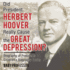 Did President Herbert Hoover Really Cause the Great Depression? Biography of Presidents Children's Biography Books