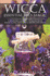 Wicca Essential Oils Magic: a Beginner's Guide to Working With Magical Oils, With Simple Recipes and Spells (Wicca for Beginners Series)