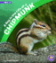 A Day in the Life of a Chipmunk: A 4D Book