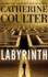Labyrinth (an Fbi Thriller)