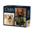 CAL 25 JUST LABS 2025 BOX