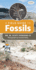Afieldguidetofossils Format: Pamphlet