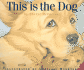 This is the Dog