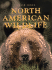 North American Wildlife