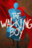 Thewalkingboy Format: Paperback