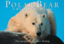 Polar Bear: a Book of Postcards