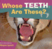 Whose Teeth Are These? (Whose? Animal Series)