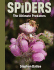 Spiders: the Ultimate Predators