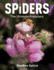 Spiders: the Ultimate Predators