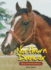 Northern Dancer: King of the Racetrack (Larger Than Life)