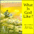 What is God Like