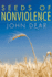 Seeds of Non-Violence