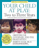 Your Child at Play Two to Three Years: Growing Up, Language, and the Imagination (Your Child at Play Series)