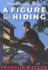 A Figure in Hiding (Hardy Boys, Book 16)