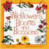 Wildflowers, Blooms, and Blossoms
