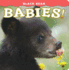 Black Bear Babies! (Babies! Animal)
