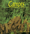 Carrots