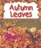 Autumn Leaves