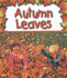 Autumn Leaves (Preparing for Winter)