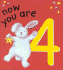 Now You Are 4